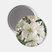 Aimant Pomme de feu (Recto/Verso)