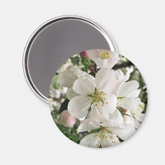 Aimant Pomme de feu (Recto/Verso)