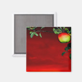 Aimant Pomme de paradis (Recto/Verso)