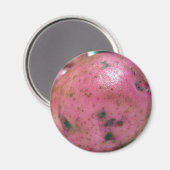 Aimant Pomme de terre rouge Norland (Recto/Verso)