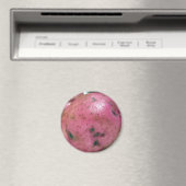 Aimant Pomme de terre rouge Norland (In Situ (Lave-vaisselle))