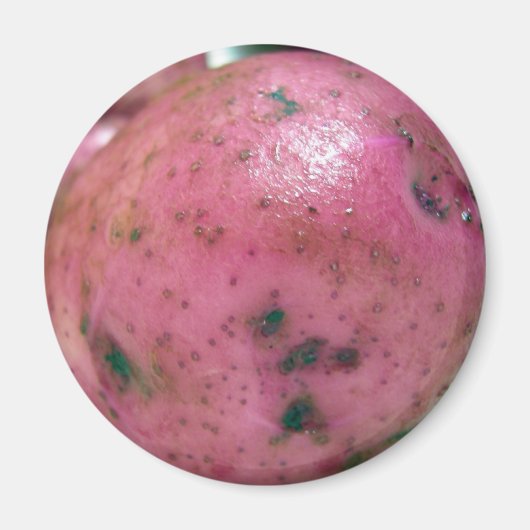 Aimant Pomme de terre rouge Norland (Devant)