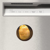 Aimant Pomme de terre sur terre (In Situ (Lave-vaisselle))