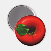 Aimant . Pomme rouge (Recto/Verso)