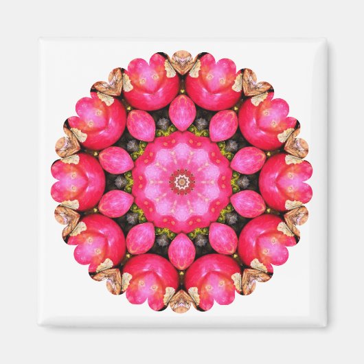 AIMANT POMMES (Devant)