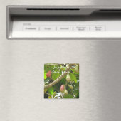Aimant Pommes de Java (In Situ (Lave-vaisselle))