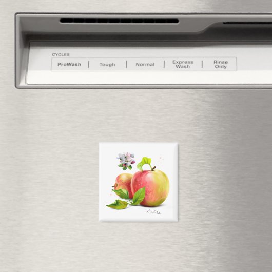 Aimant Pommes, fleurs et éclaboussures (In Situ (Lave-vaisselle))