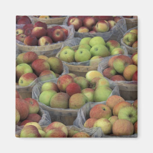 Aimant pommes Macintosh de l'État de New York dans des pa
