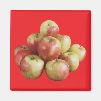 Aimant Pommes Mcintosh
