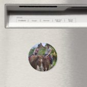 Aimant poney (In Situ (Lave-vaisselle))