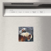 Aimant poney (In Situ (Lave-vaisselle))