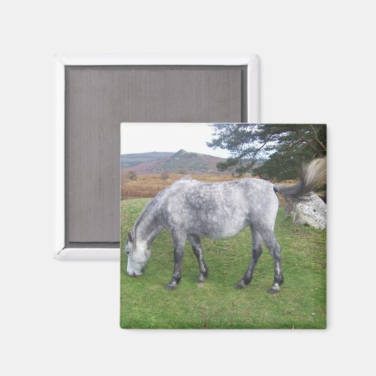 Aimant poney de Dartmoor (Recto/Verso)