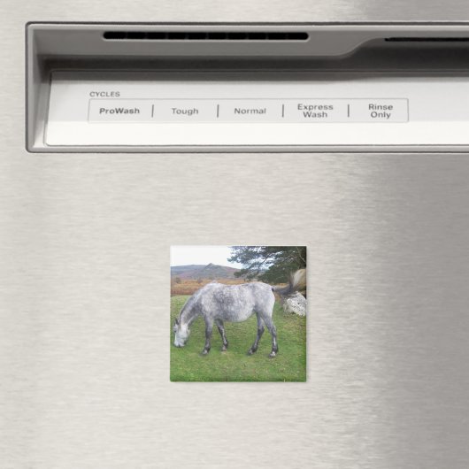 Aimant poney de Dartmoor (In Situ (Lave-vaisselle))