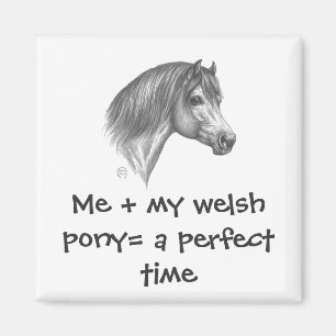 Aimant Poney de gallois et société d'épi de l'Amériqu