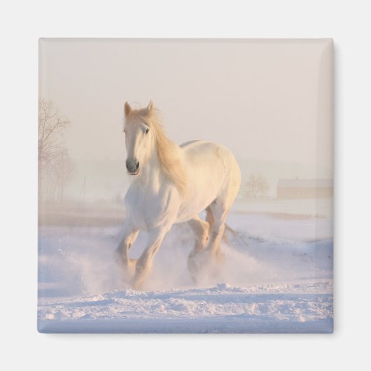Aimant Poney de la ferme équestre de l'Ouest (Devant)