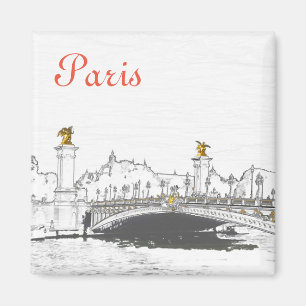 Aimant Pont Alexandre III sur la Seine - Paris France