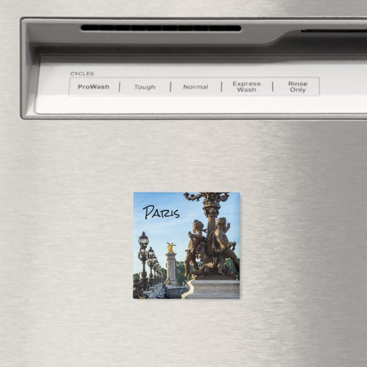 Aimant Pont Alexandre - Paris, France (In Situ (Lave-vaisselle))