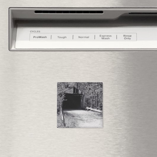 Aimant Pont couvert (In Situ (Lave-vaisselle))