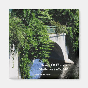 Aimant Pont d'aimant de mA d'automnes de Shelburne de