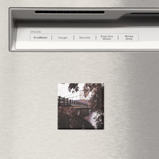 Aimant pont de castor (In Situ (Lave-vaisselle))