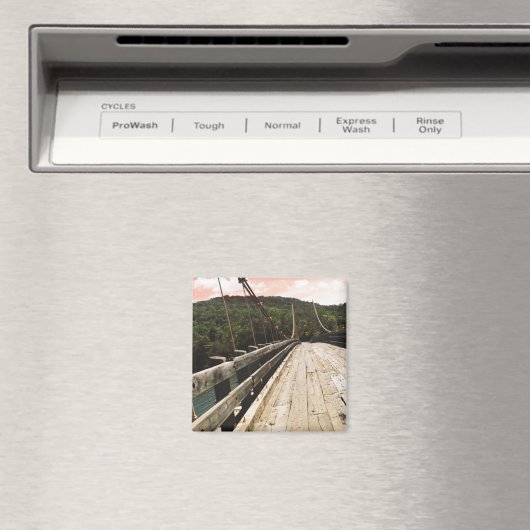 Aimant pont de castor (In Situ (Lave-vaisselle))