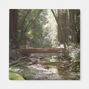 Aimant Pont de Muir Woods II