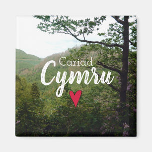 Aimant Pont Devils paysager de Cariad Cymru Wales Hill