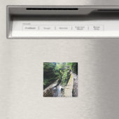 Aimant pont du parc national robert h. treman (In Situ (Lave-vaisselle))