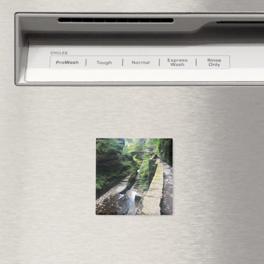 Aimant pont du parc national robert h. treman (In Situ (Lave-vaisselle))