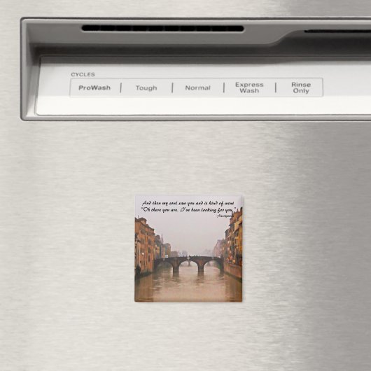 Aimant Pont Florence Avec Citation Amour (In Situ (Lave-vaisselle))