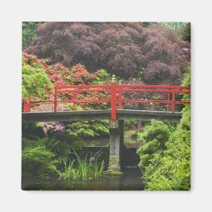 Aimant Pont Heart avec des rhododendrons en fleurs,