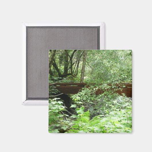 Aimant Pont Muir Woods I (Recto/Verso)