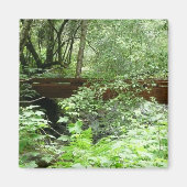 Aimant Pont Muir Woods I (Devant)