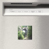 Aimant Pont naturel (In Situ (Lave-vaisselle))