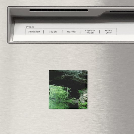 Aimant Pont naturel, Pickett State Park, TN (In Situ (Lave-vaisselle))