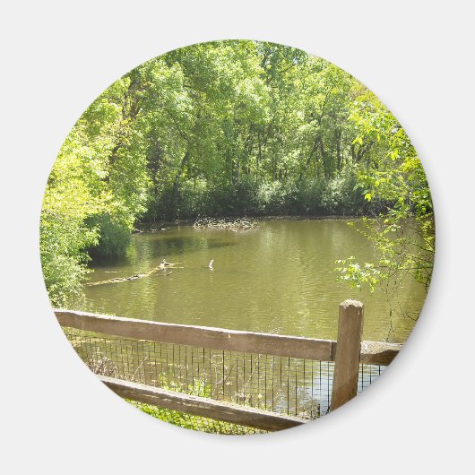 Aimant pont suranné (Devant)