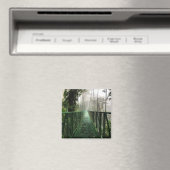 Aimant Ponts suspendus, Costa Rica (In Situ (Lave-vaisselle))