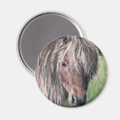 Aimant Pony de Shetland mignon (Recto/Verso)