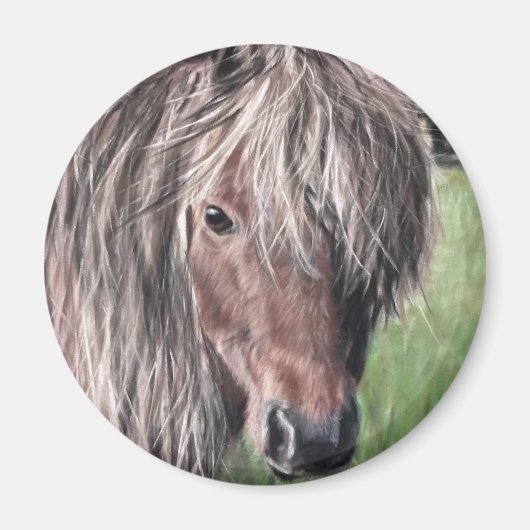 Aimant Pony de Shetland mignon (Devant)