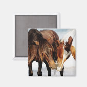 Aimant Pony Love (Recto/Verso)
