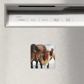 Aimant Pony Love (In Situ (Lave-vaisselle))