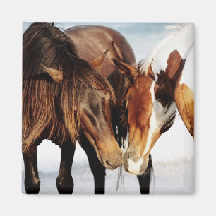 Aimant Pony Love