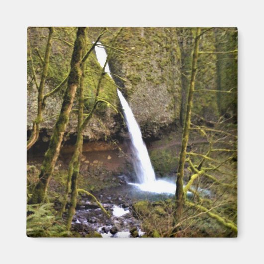 Aimant Ponytail Falls, Oregon (Devant)