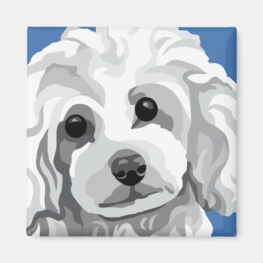 Aimant Poodle blanc (Devant)