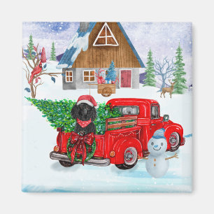 Aimant Poodle dans un camion de livraison de Noël sous la