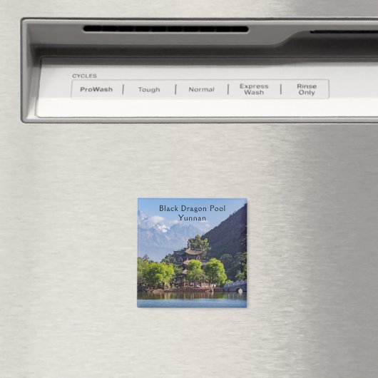 Aimant Pool de dragons noirs - Yunnan, Chine (In Situ (Lave-vaisselle))