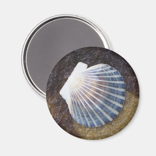 Aimant Pool de marées (Recto/Verso)