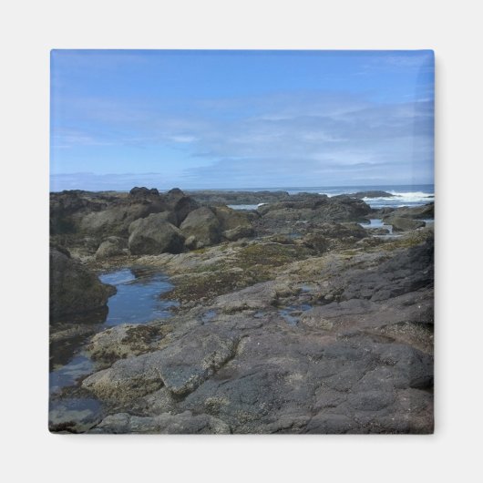 Aimant Pools à marée à Bob Creek, OU (Devant)