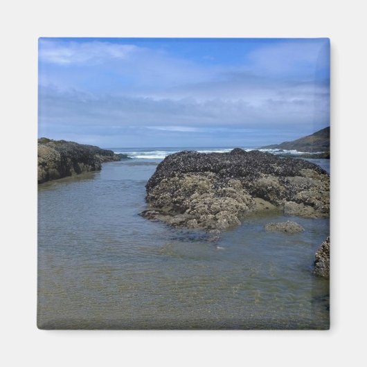 Aimant Pools à marée à Bob Creek, OU (Devant)