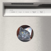 Aimant Pooper d'anniversaire (In Situ (Lave-vaisselle))